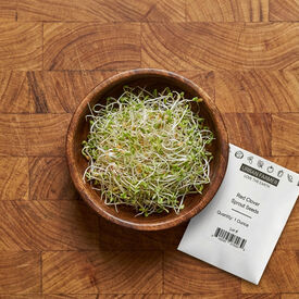 Red Clover, Sprout Seeds